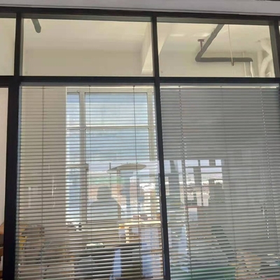 Decorative Courtyard Hollow Shutter Office Partition Wall Vacuum Insulated Glass Exterior Panel